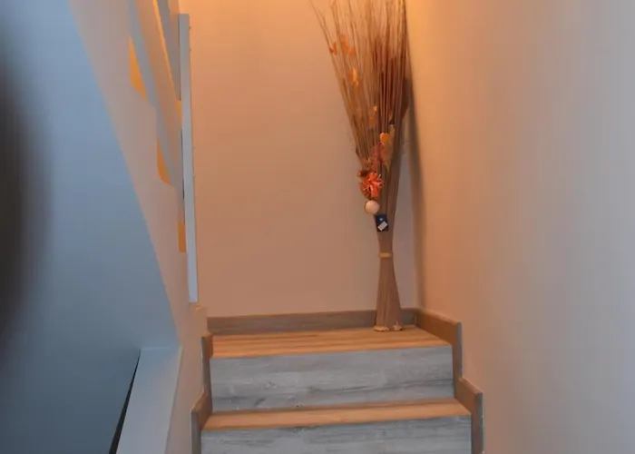 La Mielguera Villalcázar de Sirga